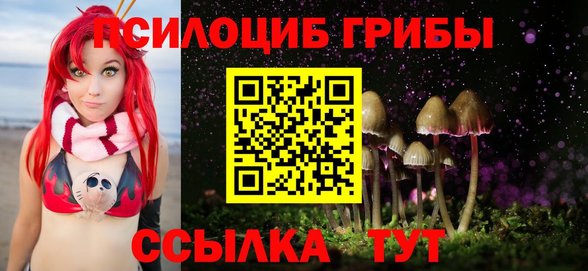 Псилоцибиновые грибы MAGIC MUSHROOMS Асбест