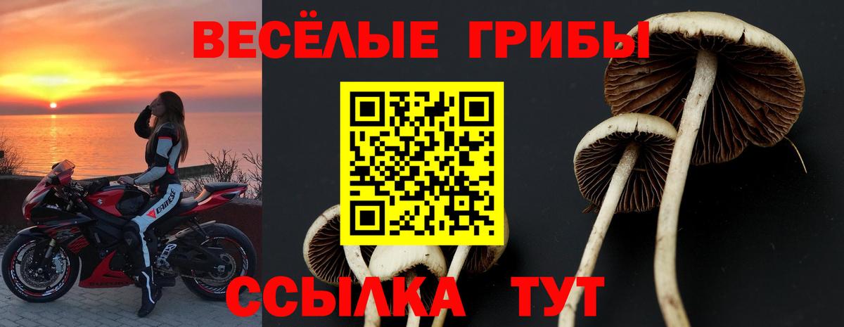 Асбест  Псилоцибиновые грибы MAGIC MUSHROOMS  Вход с VPN 